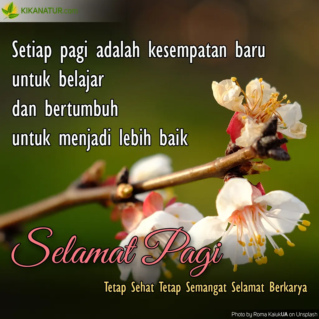 setiap-pagi-adalah-kesempatan-baru-untuk-belajar.webp